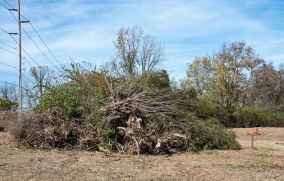 Remove Debris from the Site!