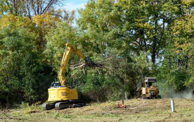 Remove Vegetation and Materials!